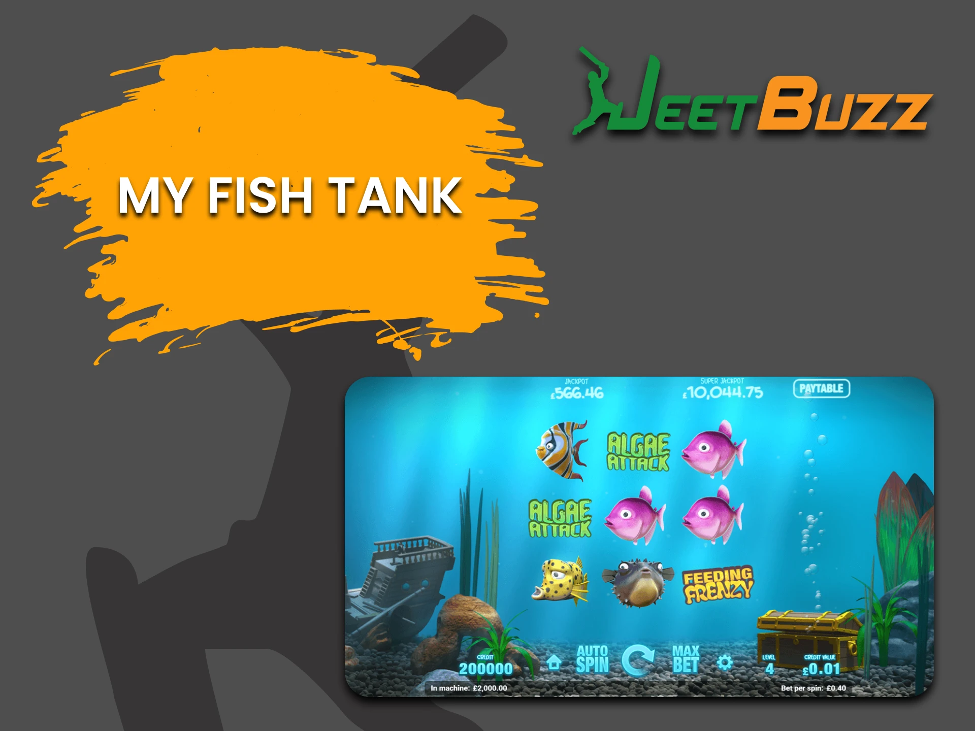 Try your hand at My Fish Tank on JeetBuzz.