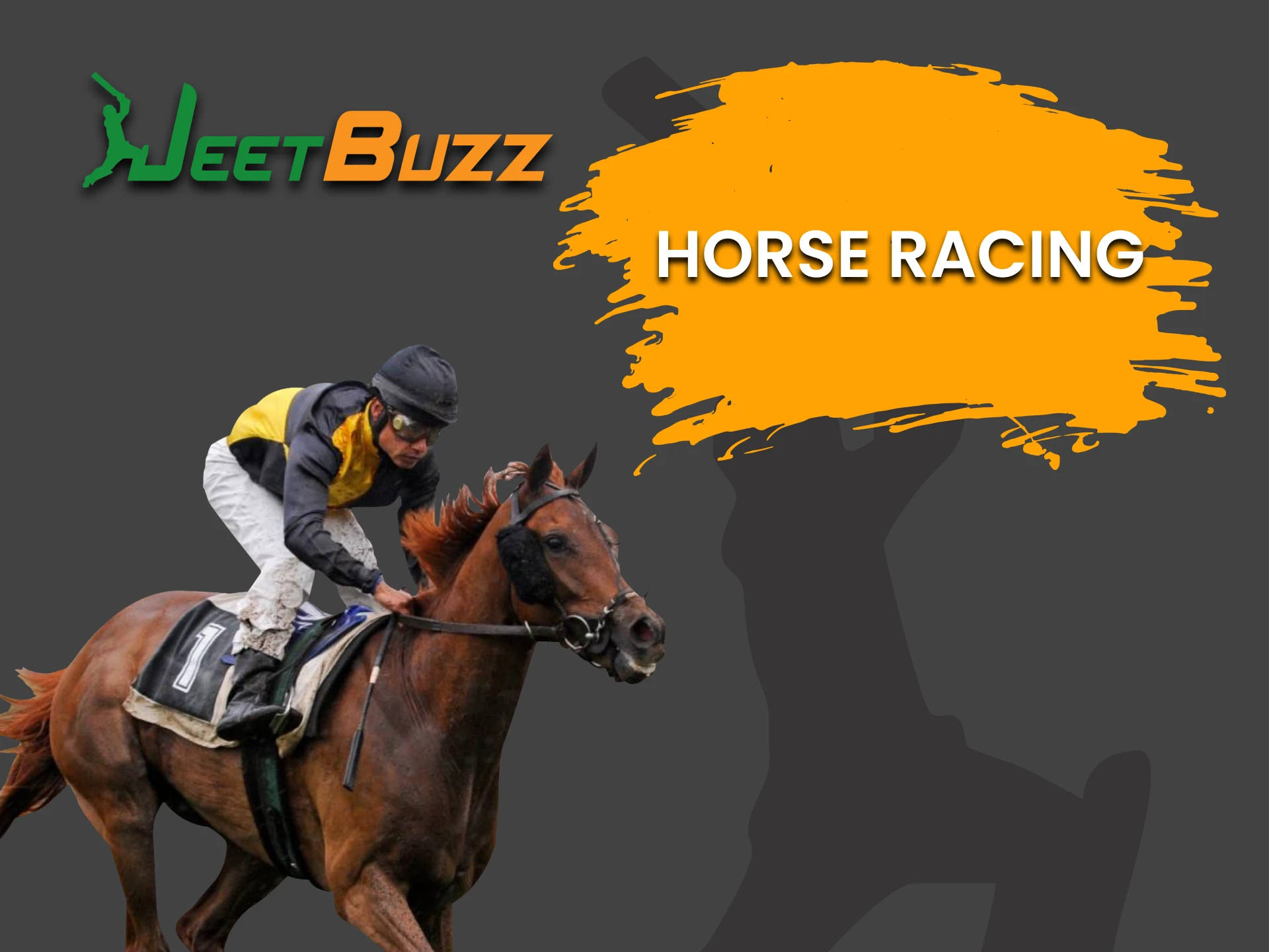 For virtual sports betting from JeetBuzz, choose Horse Racing.