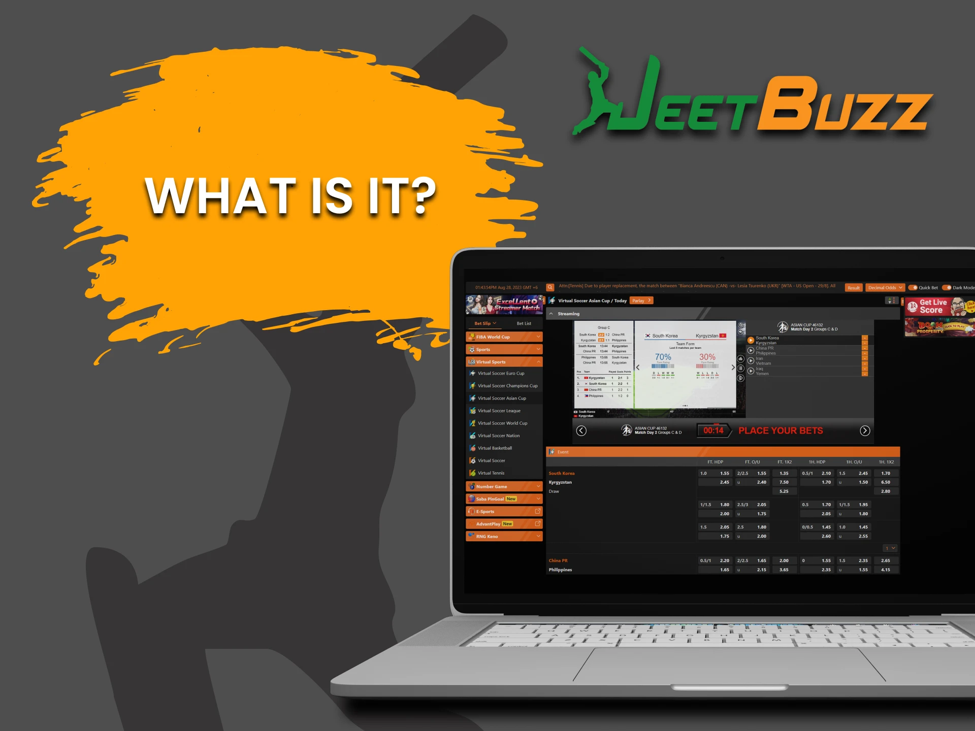 Find out what virtual sports betting is on JeetBuzz.